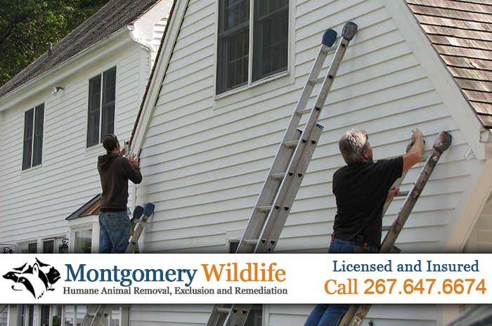 exterior work with ladders