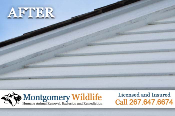 Montgomery Wildlife's Bat Exclusion