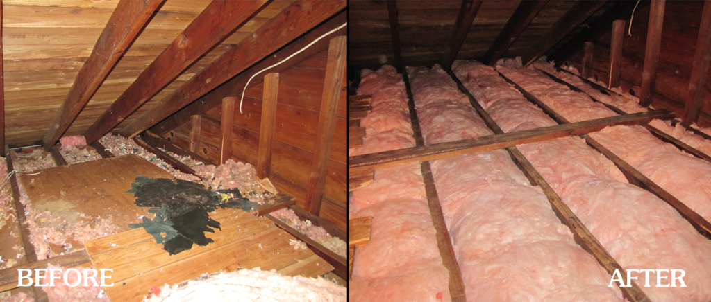 attic decontamination